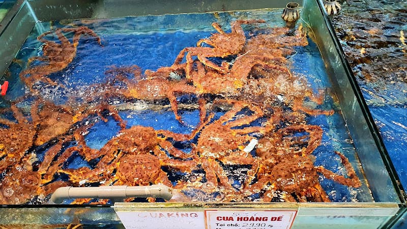 Hình ảnh Hải Sản Cửa Lò- TP Lạng Sơn - 3