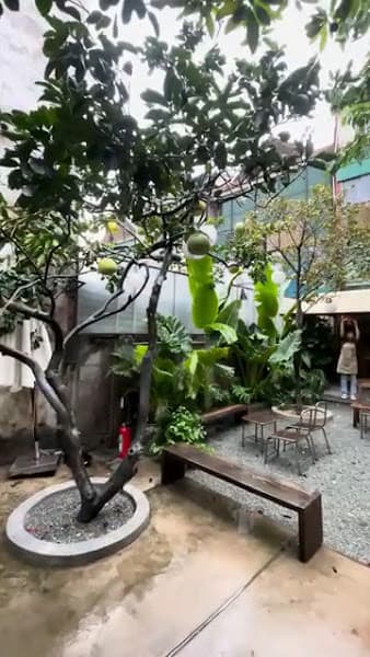 Hình ảnh Tịnh cà phê - 4