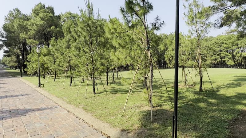 Hình ảnh Đàn Nam Giao - 5