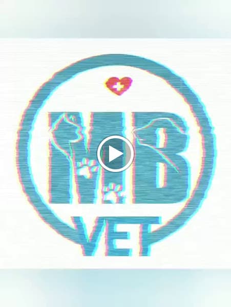 Hình ảnh Bệnh Viện Thú Y MB VET HUE - 2