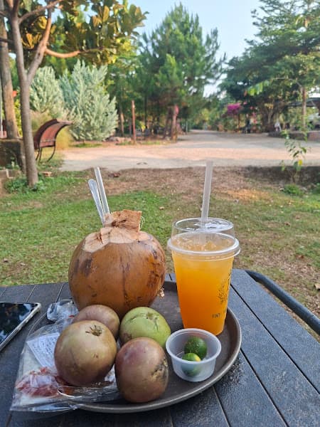 Hình ảnh Findi Farm - 3