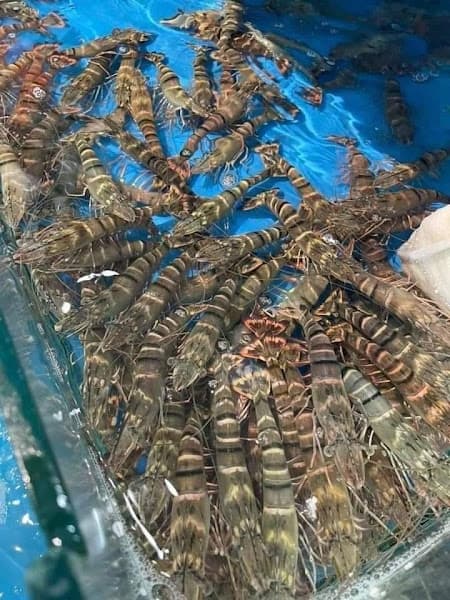 Hình ảnh Hải sản 198 Phổ Yên - 3