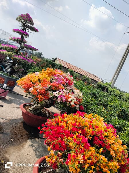 Hình ảnh Bách hoá XANH - 2