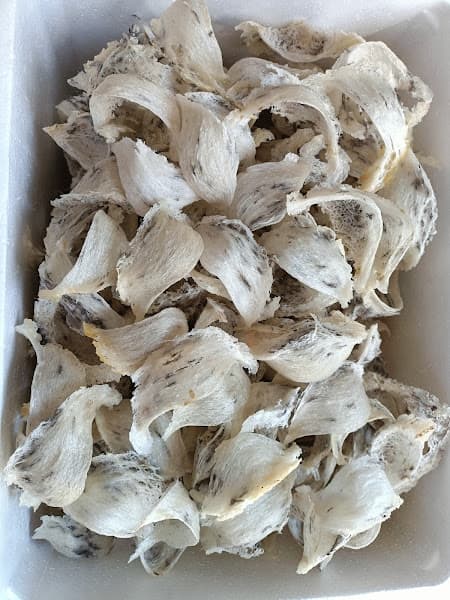 Hình ảnh Yến sào Bazan Tây Nguyên - 4