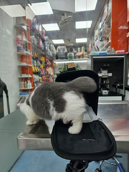 Hình ảnh Phòng Khám Thú Y Pet Phạm Phước - 2