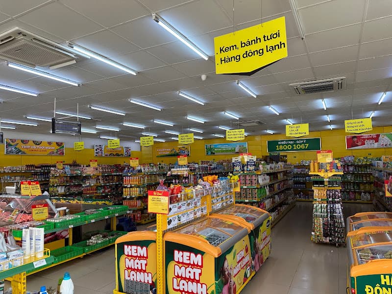 Hình ảnh Siêu thị Bách hóa XANH Phạm Cự Lượng - 5