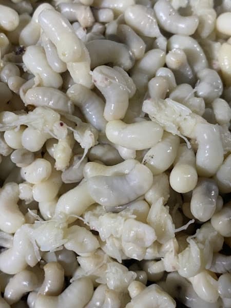 Hình ảnh Nhà sàn quán - 3