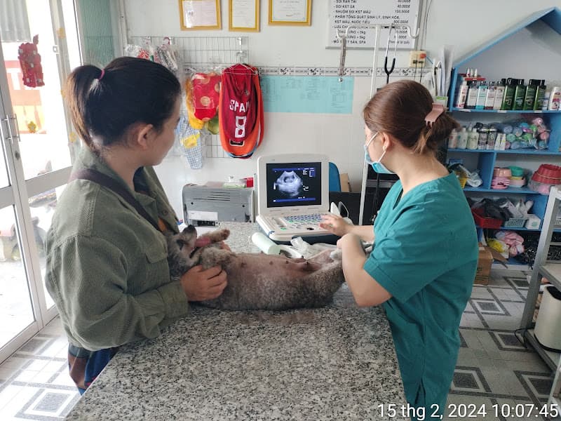 Hình ảnh Phòng Khám Thú Y Lê Như - Lai Vung - 2