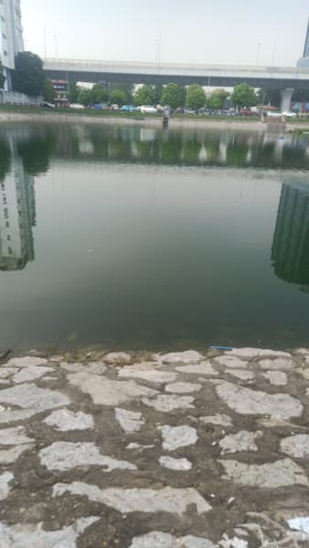 Hình ảnh Bi-a Hoàng Gia - 2