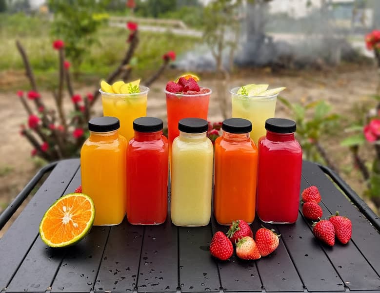 Hình ảnh Pet Store Méo Mèo Meo - 3