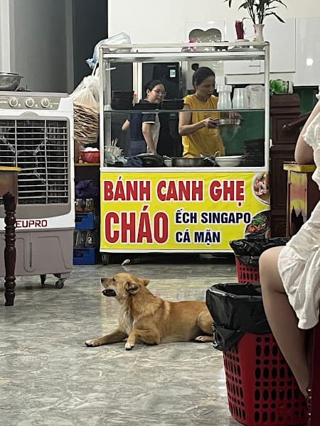 Hình ảnh Bánh canh ghẹ đặc biệt - 4