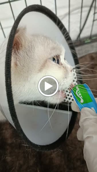 Hình ảnh Bệnh viện thú y Gia Kiệm - 2