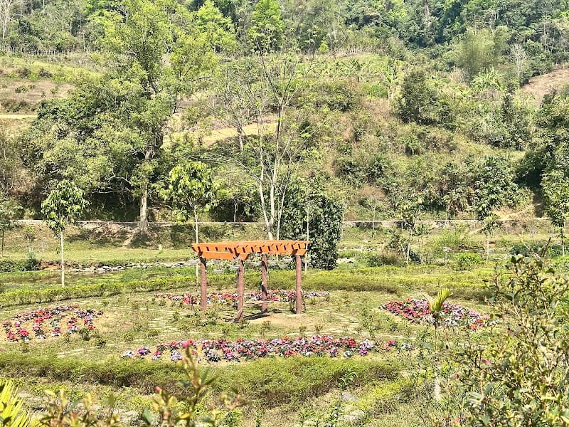 Hình ảnh Cầu Suối Lê Nin - 5