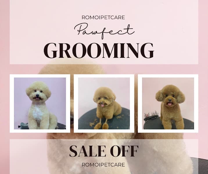 Ảnh bìa Rơm Ơi Pet Care