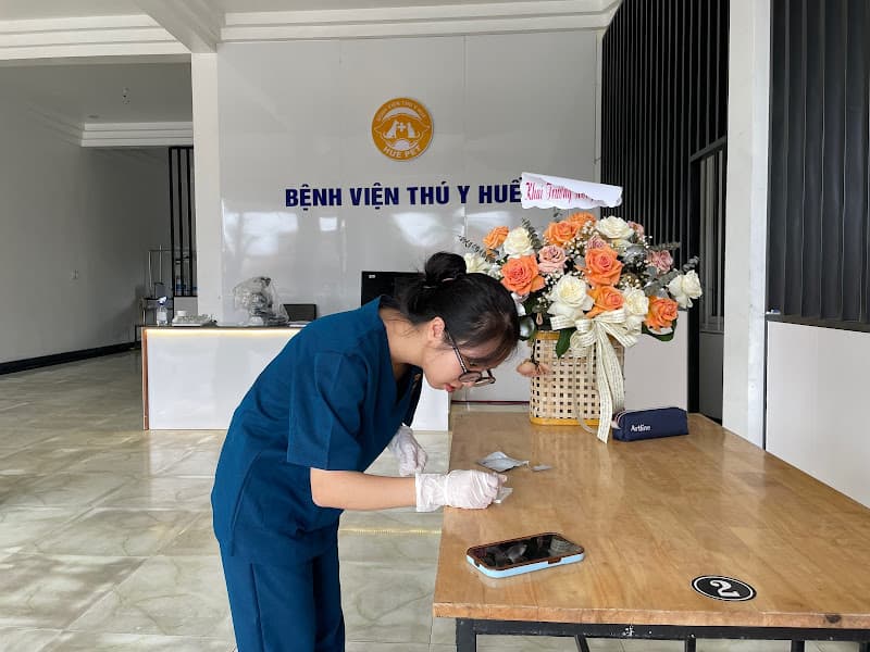 Bệnh Viện Thú Y Huế - Hue Pet