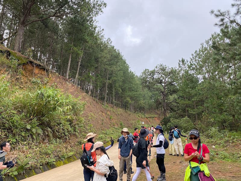 Hình ảnh Tuyệt Tình Cốc Đà Lạt - 2