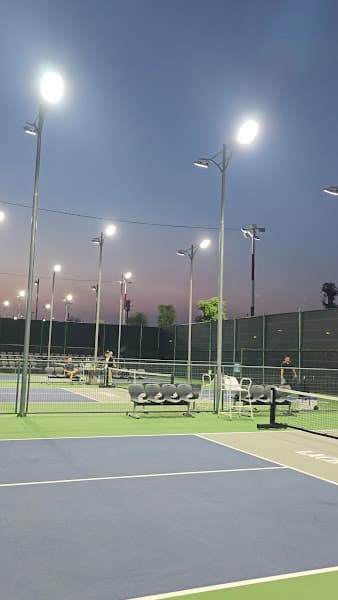 Pickleball Lạch Tray