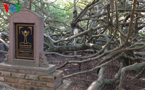 Hình ảnh Khu di tích Giàn Gừa - 3