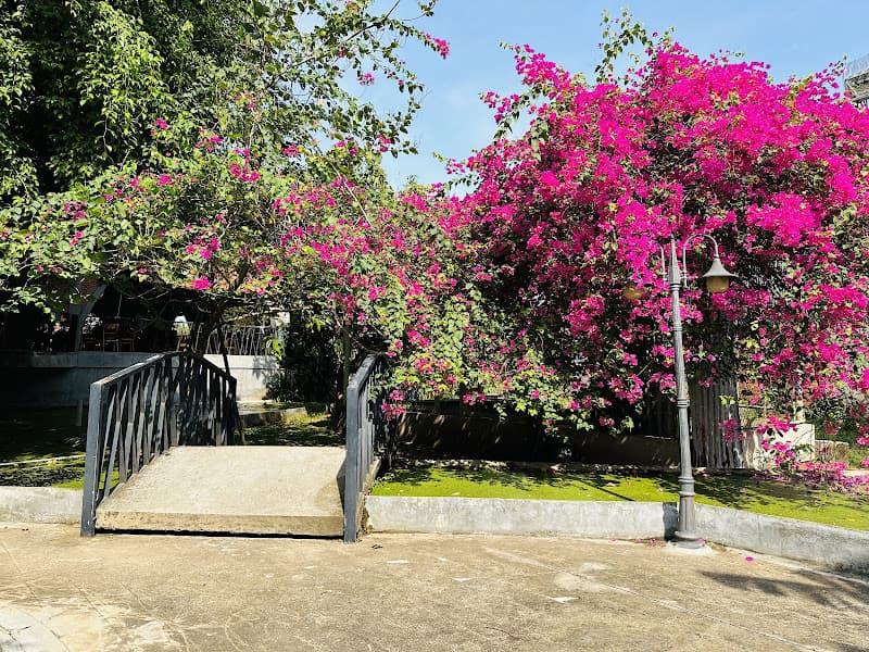 Hình ảnh HOA LAN GARDEN COFFEE - 4