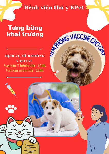 Hình ảnh Bệnh viện Thú y K-Pet - 3