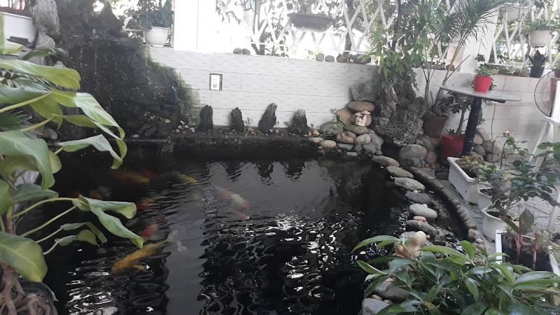 Hình ảnh Quán ăn gia đình - Cafe Tú Quyên - 6