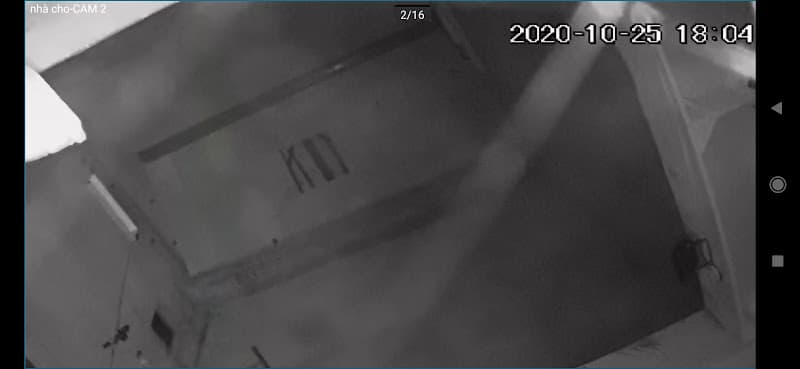 Hình ảnh Yến Sào Hồng Phúc - 3