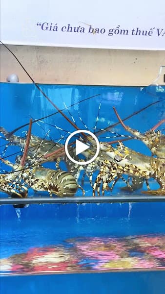 Hình ảnh Hải Sản Ku Tom Đà Nẵng - 4