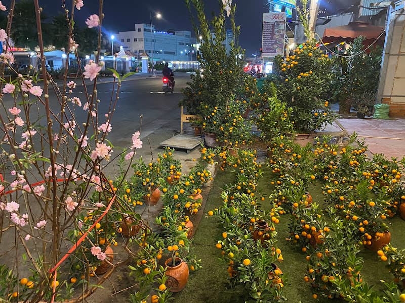 Hình ảnh Nhâm Coffee - 7