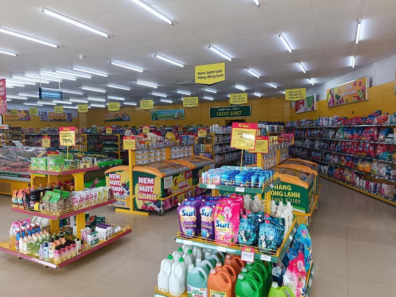 Hình ảnh Siêu thị Bách hoá XANH Thôn 8, Xã Ea Ô - 4