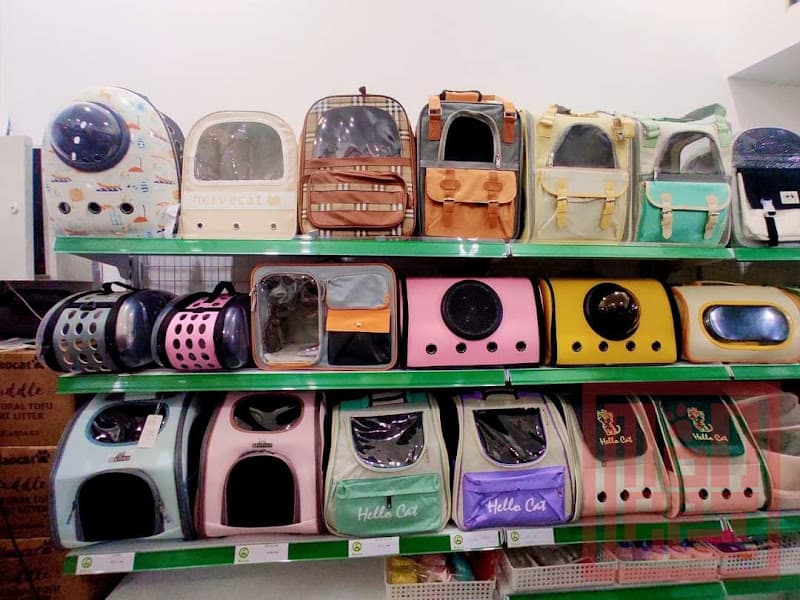 Hình ảnh Cửa hàng thú cưng MonPet Biên Hoà - 6
