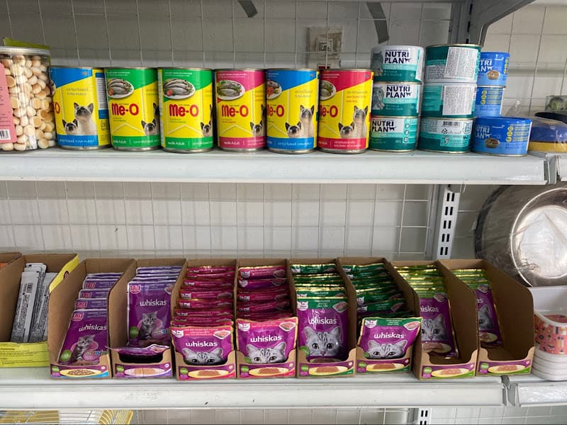 Hình ảnh Lyly Pet - 5