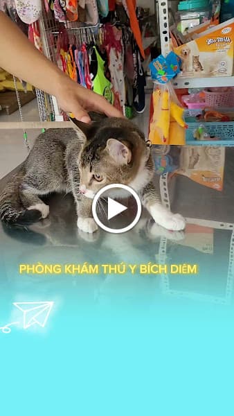 Hình ảnh Phòng Khám Thú Y Petshop Bích Diễm🏥 - 4