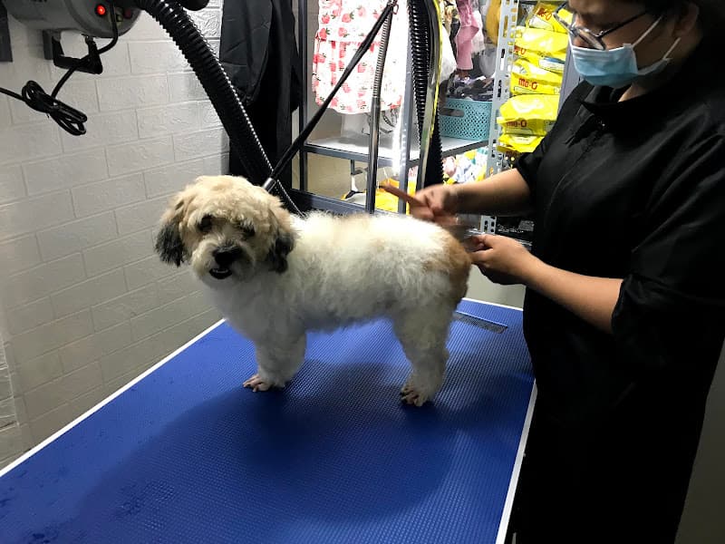 Hình ảnh Phòng Khám Thú Y Q&P PetLife - 4