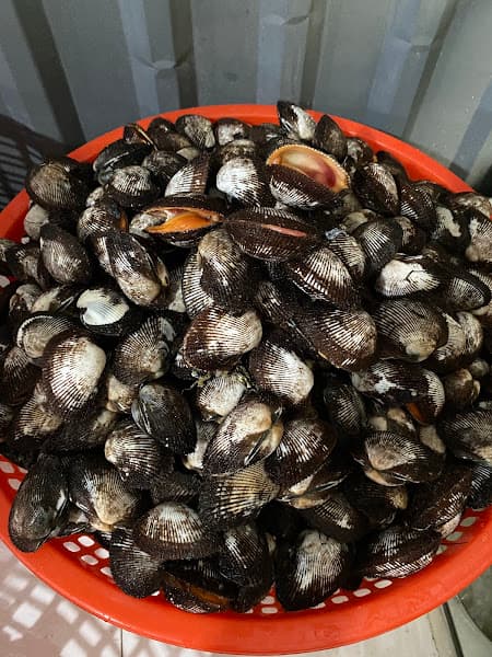 Hình ảnh Út Hải Sản - 2
