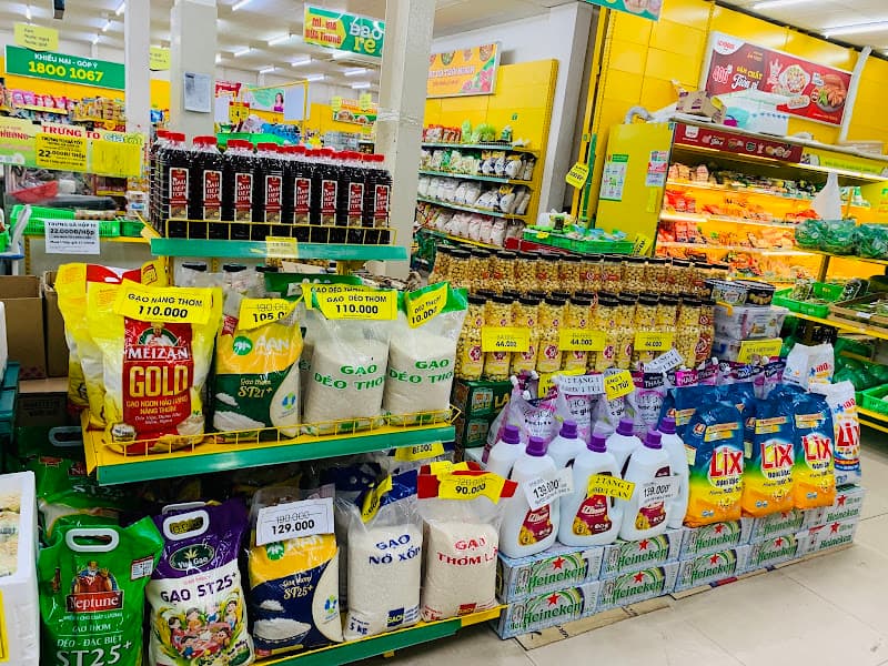 Hình ảnh Siêu thị Bách hóa XANH Đường Đốc Binh Vàng - 2