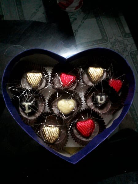 Công Ty TNHH Quân Vy Phú Thọ