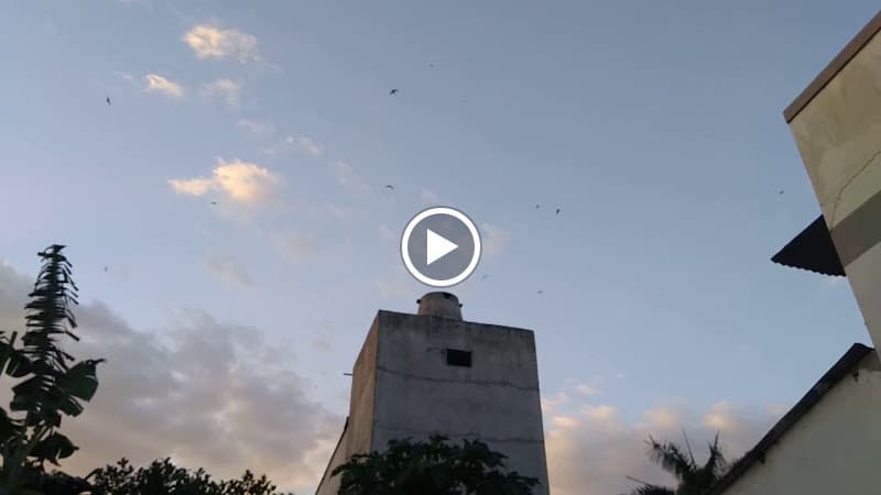 Hình ảnh YẾN HỒ THU - 3