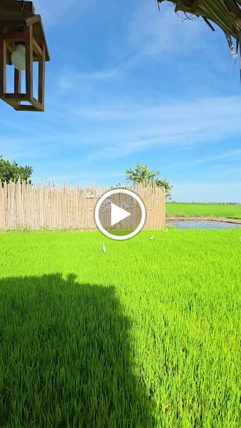 Hình ảnh Tiệm Cà Phê Hai Ơi - 2