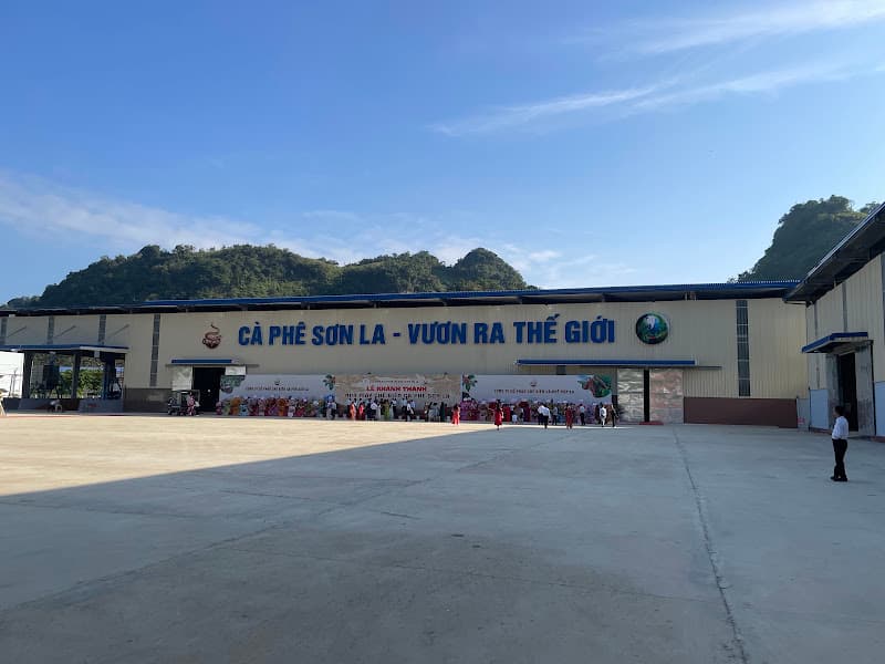 Ảnh bìa CÔNG TY CP CHẾ BIẾN CÀ PHÊ SƠN LA