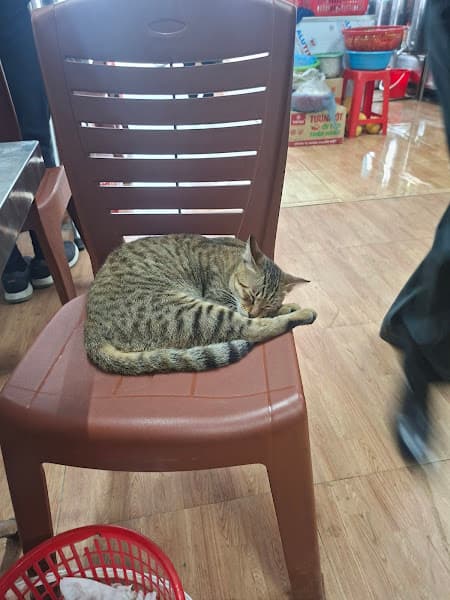 Hình ảnh Phở Bò Cồ Chíp - 3