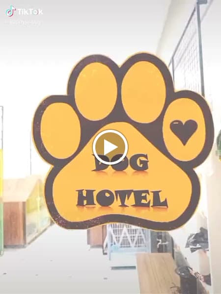 Hình ảnh Yuppy Puppy - Khách Sạn & Spa Thú Cưng - 3