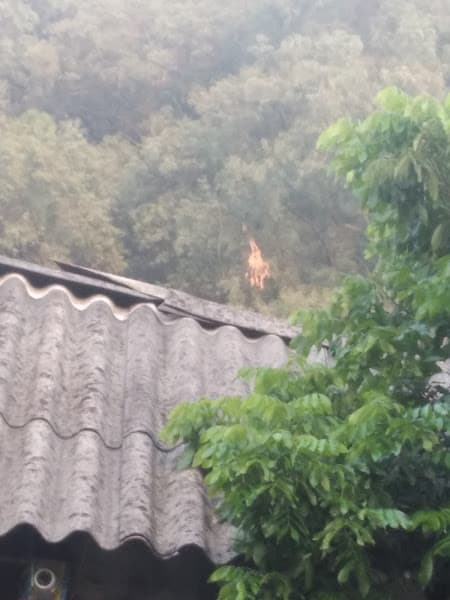 Hình ảnh Của hàng tuấn khuyên bánh xèo - 2