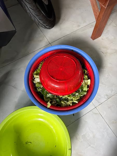 Hình ảnh Bánh xèo Quảng Ngãi - 4