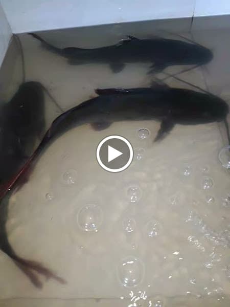 Hình ảnh Ẩm thực Hè Phố - Quán ăn gia đình - 2