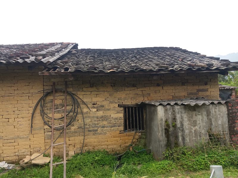 Hình ảnh Pò Cam, Cao Lâu, Cao Lộc, Lạng Sơn - 8