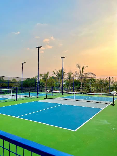 Hình ảnh Pickleball Long Trung - 4