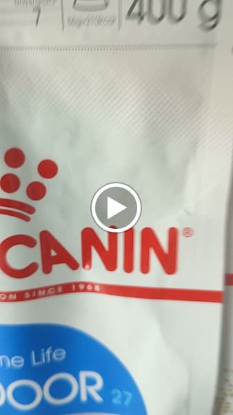 Hình ảnh Sữa Pet Shop - Tiệm Làm Đẹp Thú Cưng - 2