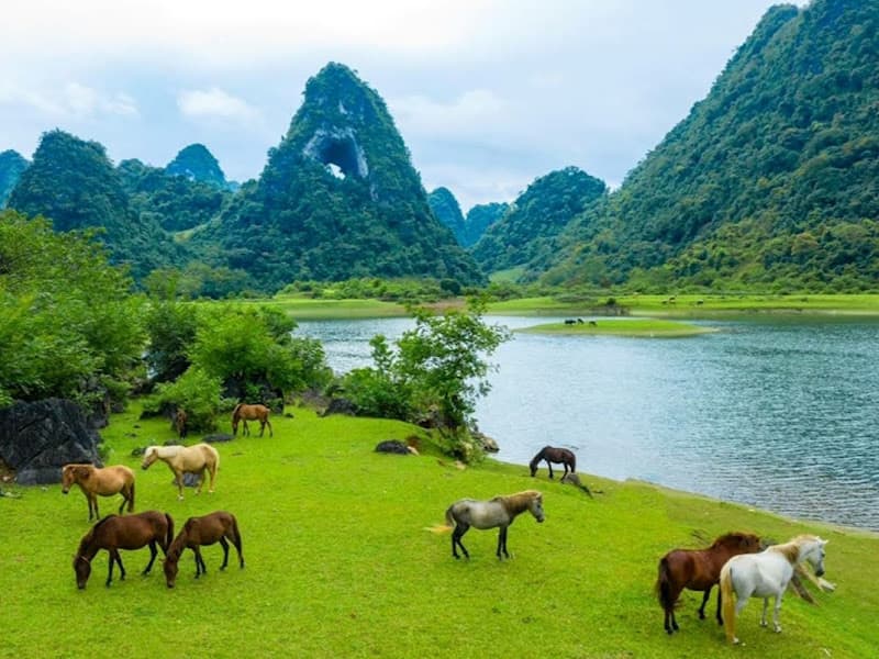 Núi Thủng Phja Piót