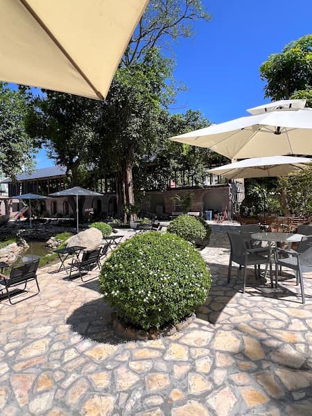 Cafe Sân Vườn Acoustic Hải Phòng - The Echo Garden