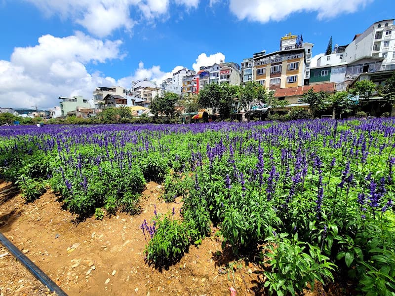 Hình ảnh Dê Ngon Nhà Gỗ - 3